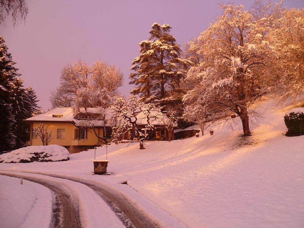 Il Colombe B&B Barzanò Exteriör bild